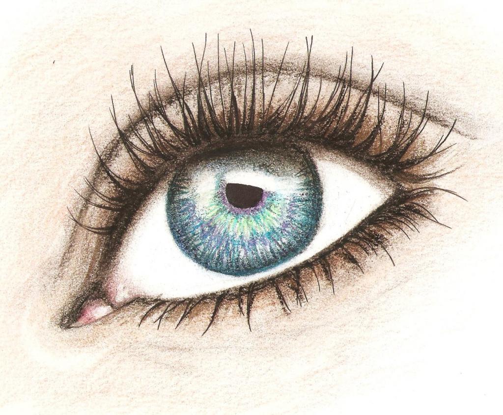 eye model for drawing